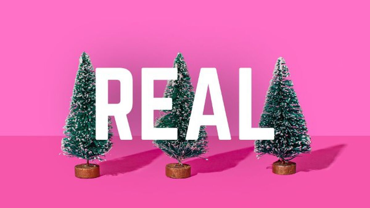 Does It Celebrate: Christmas Edition image number null